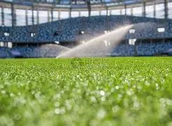 皇家马德里,官方宣布与,安切洛蒂续,开云体育,开云体育官网,开云体育app,开云体育app下载