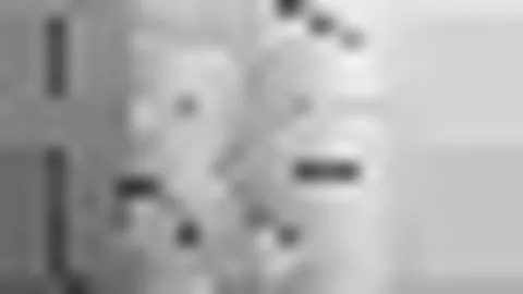 康荣雅，康有为后人：羽毛球选中了我